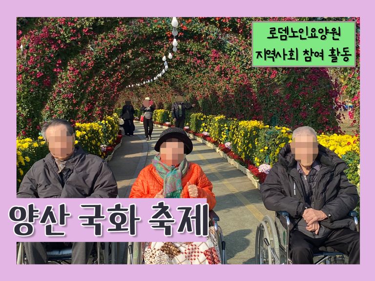 양산 국화 축제