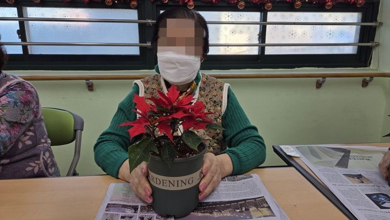 원예활동 - 크리스마스 꽃 만들기